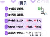 第05讲 细胞的增殖和减数分裂（上课课件）-2025年高考生物二轮复习（新高考通用）