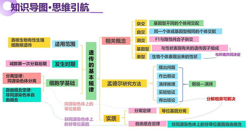 第07讲 基因的分离定律和自由组合定律（上课课件）-2025年高考生物二轮复习（新高考通用）第5页