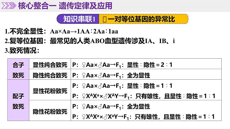 第07讲 基因的分离定律和自由组合定律（上课课件）-2025年高考生物二轮复习（新高考通用）第7页