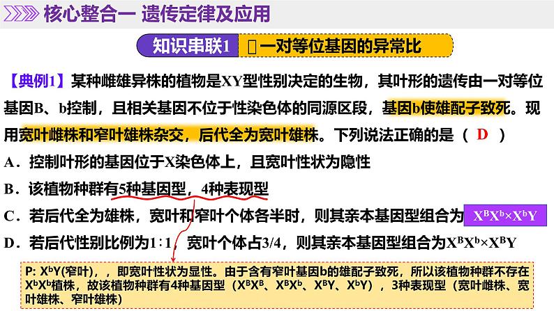 第07讲 基因的分离定律和自由组合定律（上课课件）-2025年高考生物二轮复习（新高考通用）第8页