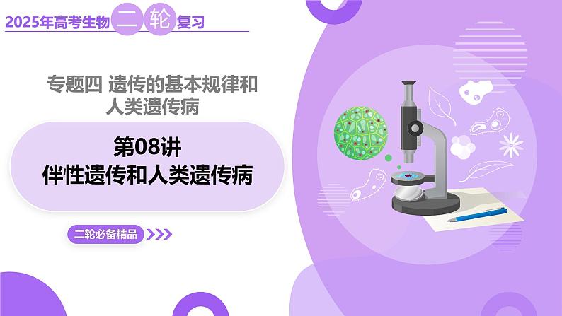 第08讲 伴性遗传和人类遗传病（上课课件）-2025年高考生物二轮复习（新高考通用）第1页