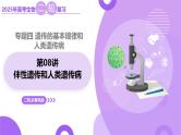 第08讲 伴性遗传和人类遗传病（上课课件）-2025年高考生物二轮复习（新高考通用）
