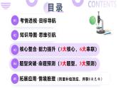 第08讲 伴性遗传和人类遗传病（上课课件）-2025年高考生物二轮复习（新高考通用）