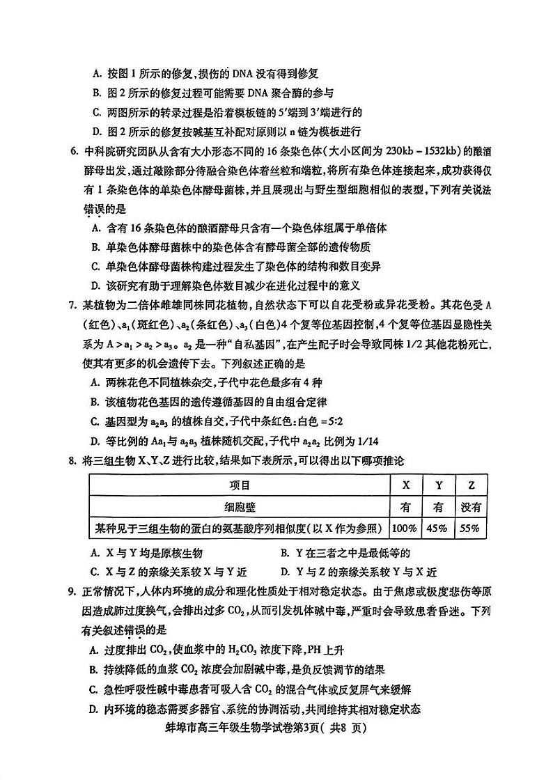 安徽省蚌埠市2025届高三年级高考模拟第一次教学质量考试-生物试卷+答案第3页