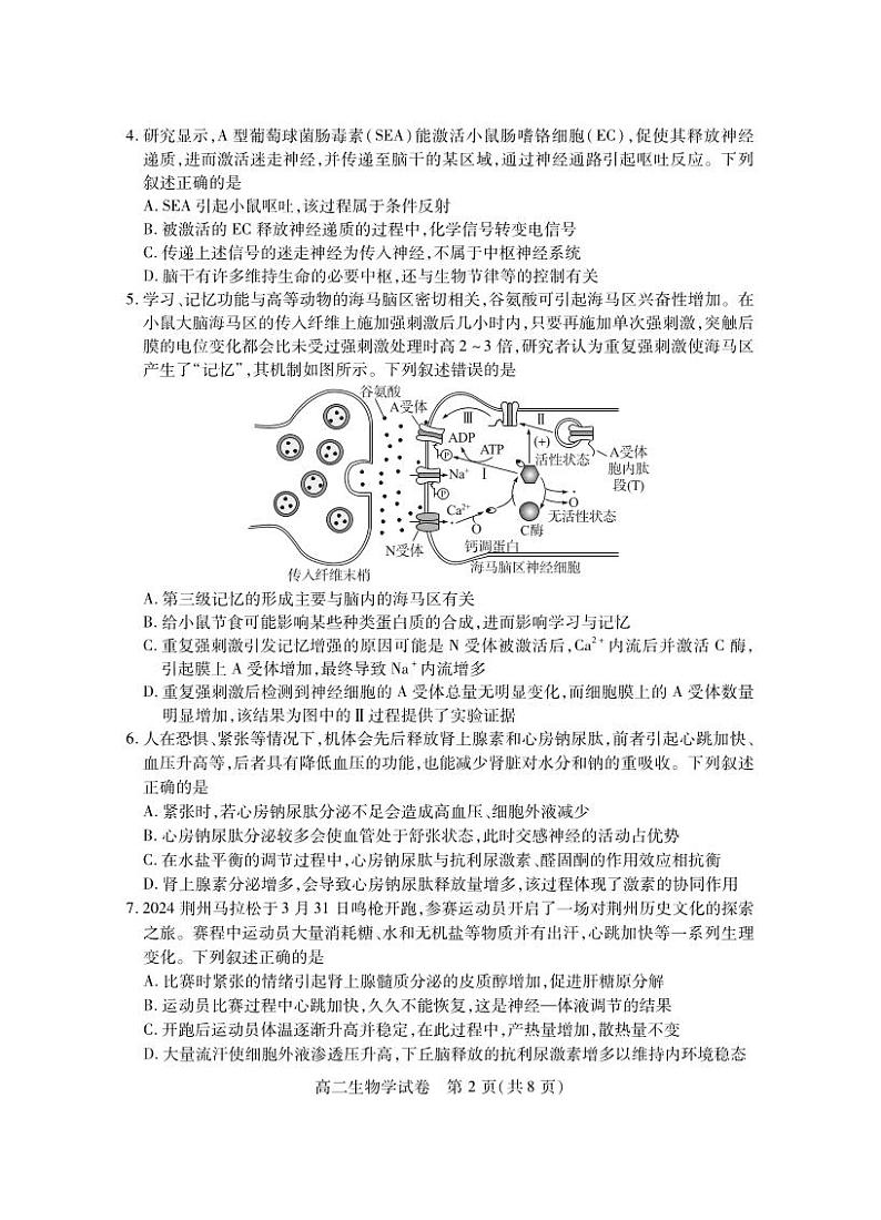 湖北省2024-2025学年高二上学期期末考试 生物 PDF版含答案第2页