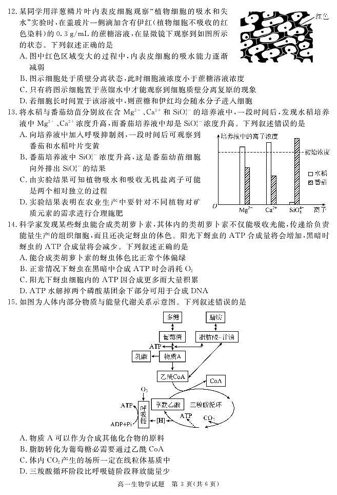 四川省自贡市、遂宁市、广安市等2024-2025学年高一上学期期末考试 生物 PDF版含解析第3页