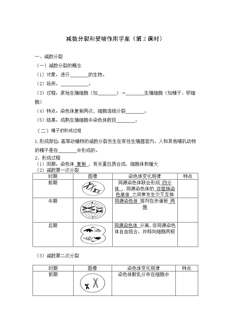 高中生物必修二《遗传与进化》第2章基因和染色体的关系2.1《减数分裂和受精作用 》导学案第1页