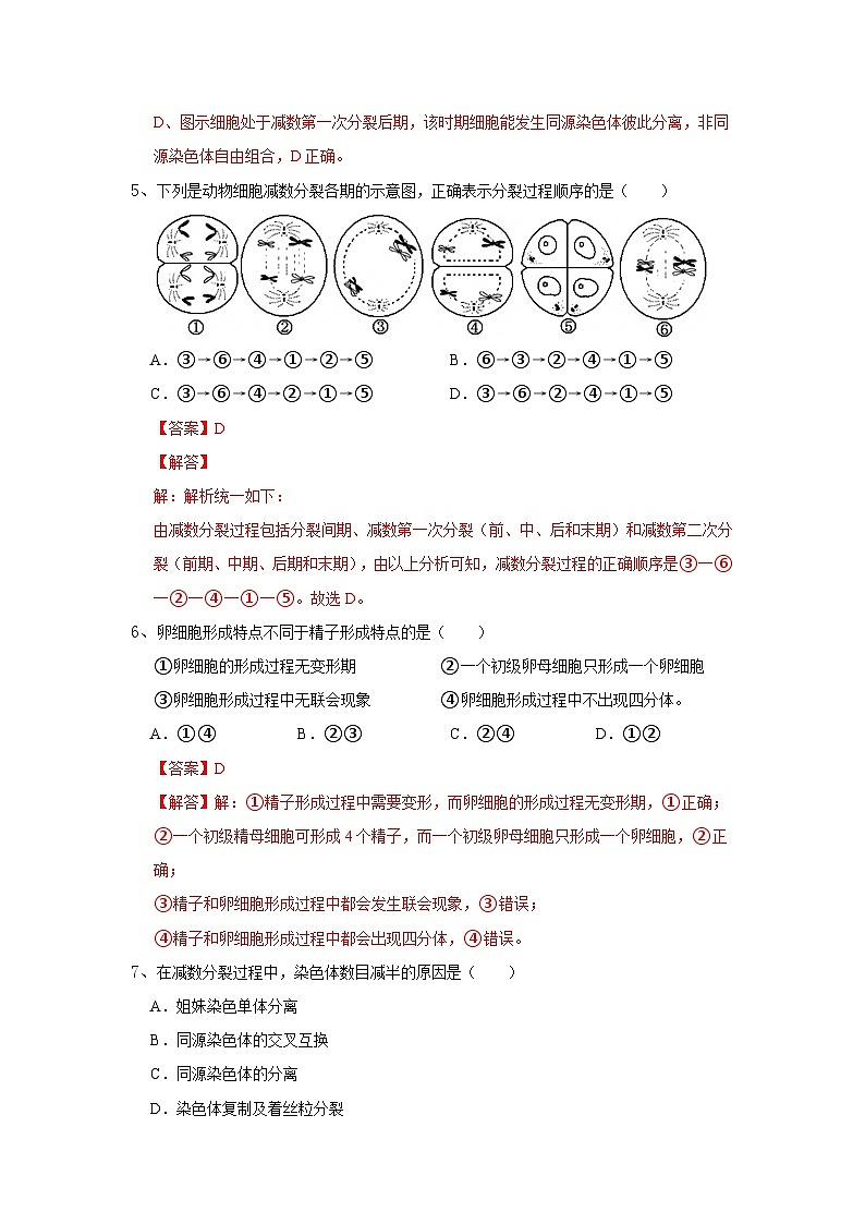 高中生物必修二《遗传与进化》第2章基因和染色体的关系2.1《减数分裂和受精作用》分层作业（原卷版+解析版）第3页