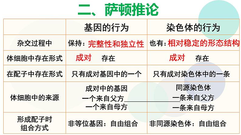 高中生物必修二《遗传与进化》第2章基因和染色体的关系2.2《基因在染色体上》课件第4页