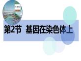 高中生物必修二《遺傳與進(jìn)化》2.2《基因在染色體上》課件