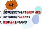 高中生物必修二《遺傳與進(jìn)化》2.2《基因在染色體上》課件