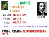 高中生物必修二《遺傳與進(jìn)化》2.2《基因在染色體上》課件