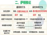 高中生物必修二《遺傳與進(jìn)化》2.2《基因在染色體上》課件