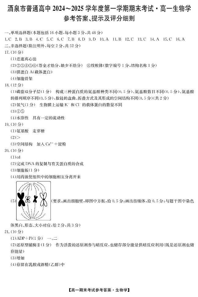 sw1 25042A酒泉期末-生物da第1页