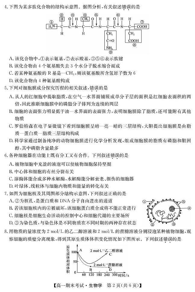 甘肃省酒泉市2024-2025学年高一上学期期末考试生物试题第2页