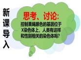 高中生物必修二《遗传与进化》第2章基因和染色体的关系 2.3《伴性遗传》课件