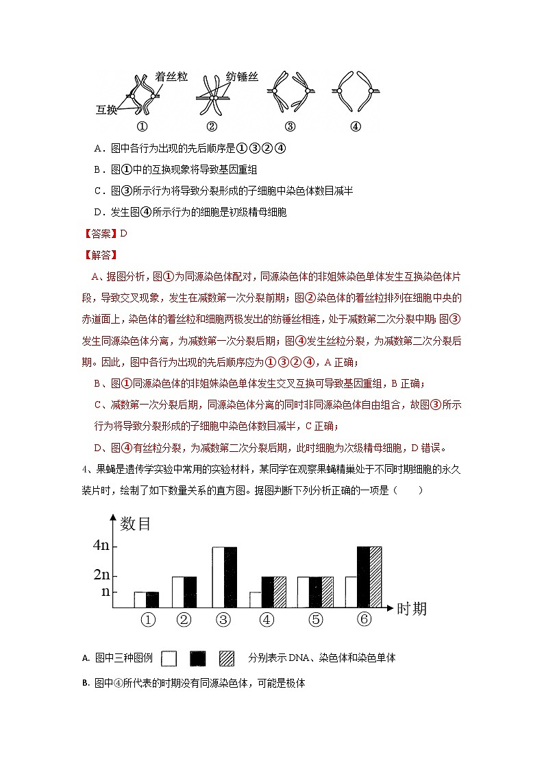 高中生物必修二《遗传与进化》第2章基因和染色体的关系章末复习单元测试B卷第2页