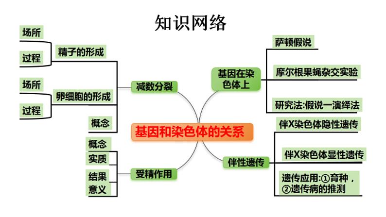 高中生物必修二《遗传与进化》第2章基因和染色体的关系章末复习课件第2页