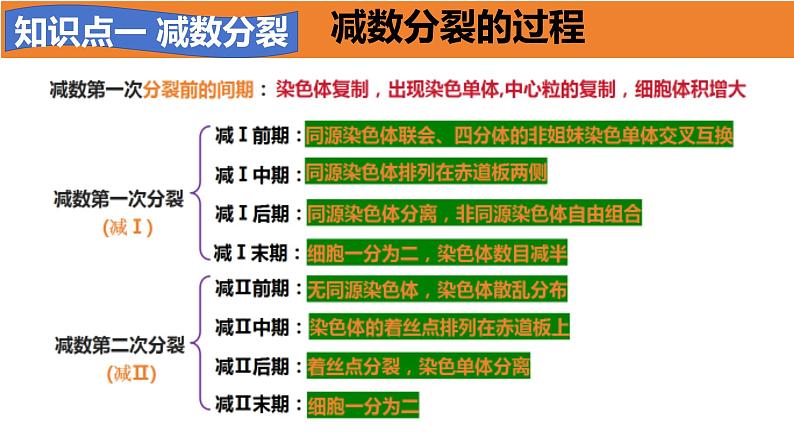 高中生物必修二《遗传与进化》第2章基因和染色体的关系章末复习课件第3页