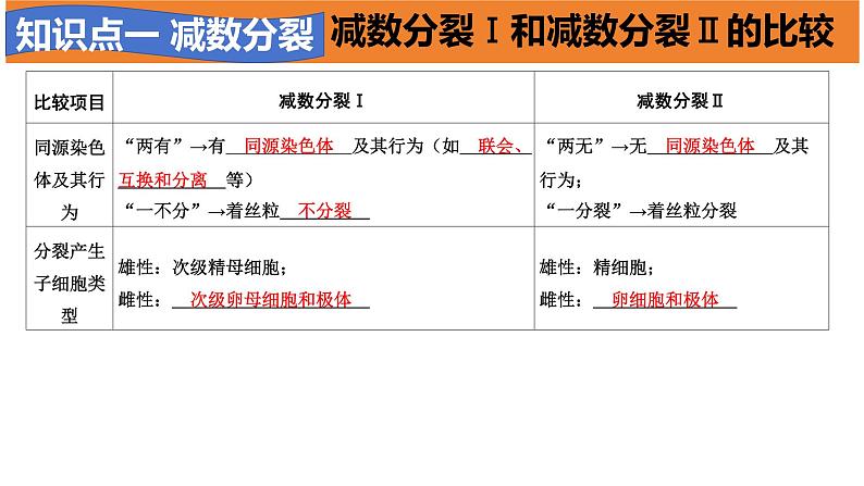 高中生物必修二《遗传与进化》第2章基因和染色体的关系章末复习课件第7页