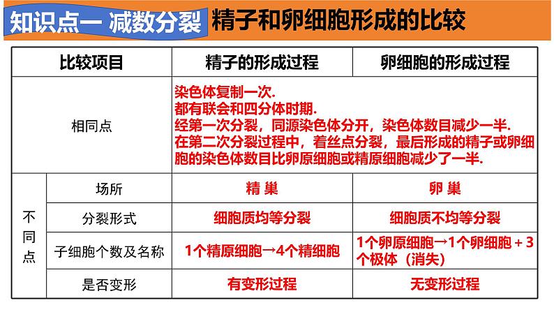 高中生物必修二《遗传与进化》第2章基因和染色体的关系章末复习课件第8页