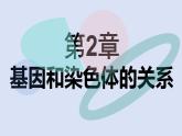 高中生物必修二《遺傳與進(jìn)化》第2章章末復(fù)習(xí) 課件