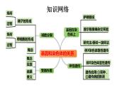 高中生物必修二《遺傳與進(jìn)化》第2章章末復(fù)習(xí) 課件
