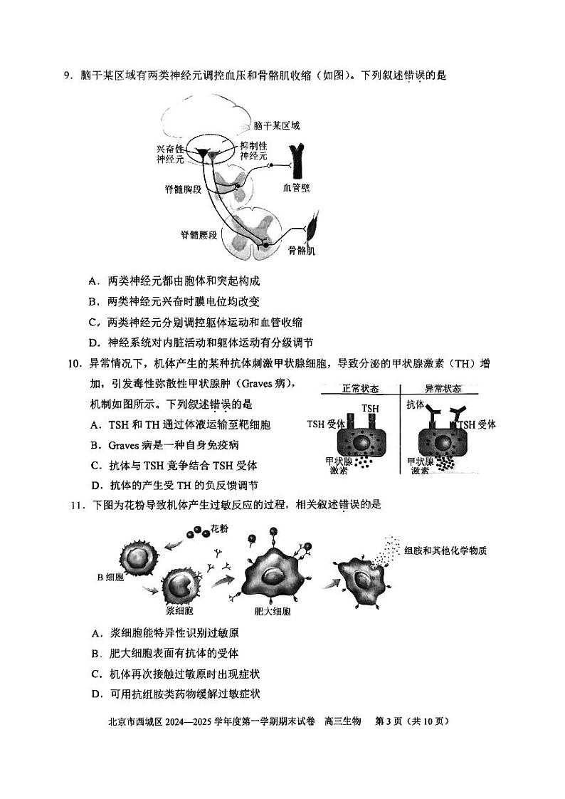 北京西城区2024-2025高三上学期期末生物试卷及答案第3页
