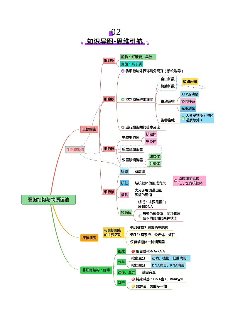 第02讲 细胞的基本结构、功能和物质进出细胞的方式（讲义）-2025年高考生物二轮复习（新高考通用）  （解析版）第3页