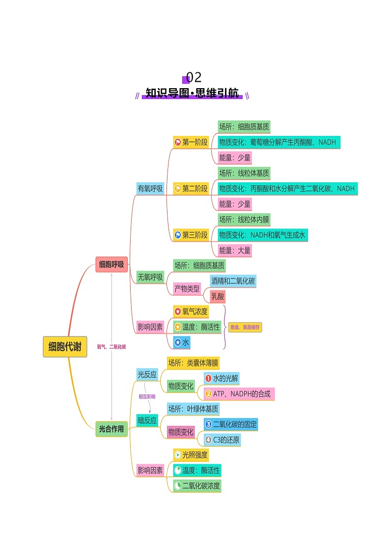 第04讲 细胞呼吸和光合作用（讲义）-2025年高考生物二轮复习（新高考通用）  （解析版）第3页