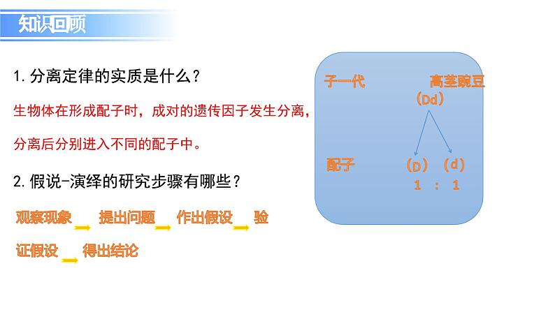 人教版（2019）高中生物必修二第1章遗传因子的发现1.1《孟德尔的杂交实验》（一）课件第2页