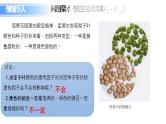 人教版（2019）高中生物必修二第1章遗传因子的发现1.1《孟德尔的杂交实验》（一）课件