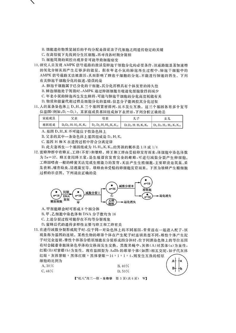 2025届皖南八校高三第一次大联考生物试卷+答案第3页