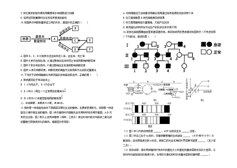 广东省建文教育集团两学部2025届高三上学期1月第二次模拟考试生物试题（Word版附解析）第3页
