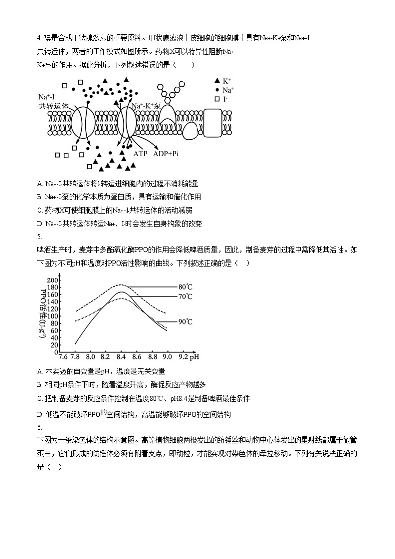 广东省阳江市高新区2024-2025学年高二上学期1月期末生物试题  Word版无答案第2页