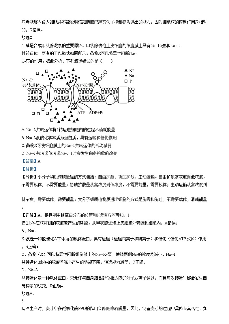 广东省阳江市高新区2024-2025学年高二上学期1月期末生物试题  Word版含解析第3页