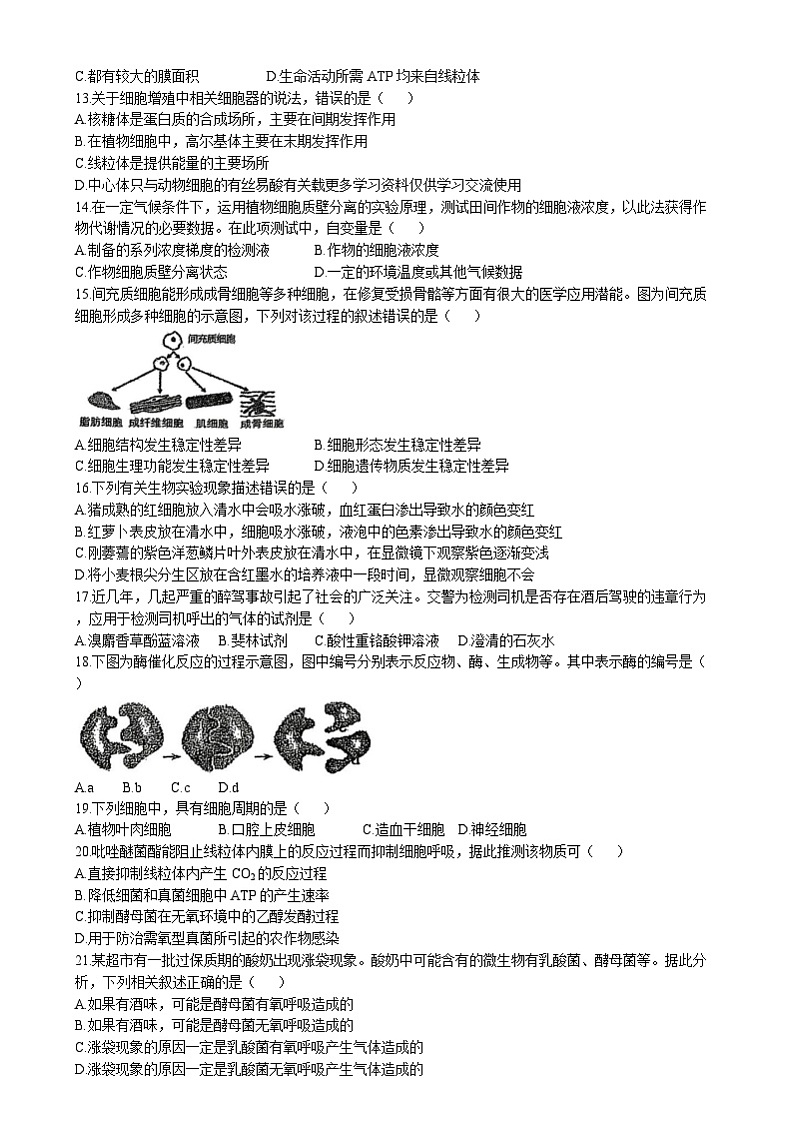 天津市红桥区2024-2025学年高一上学期期末考试生物试题（Word版附答案）第2页
