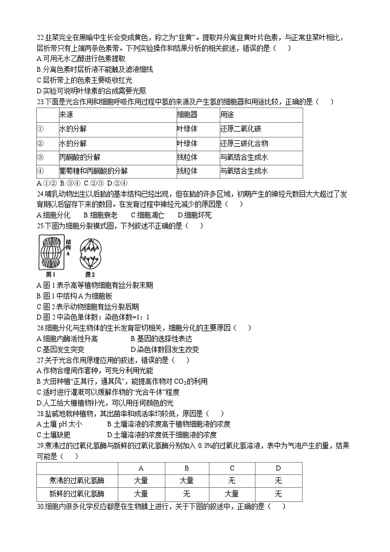 天津市红桥区2024-2025学年高一上学期期末考试生物试题（Word版附答案）第3页