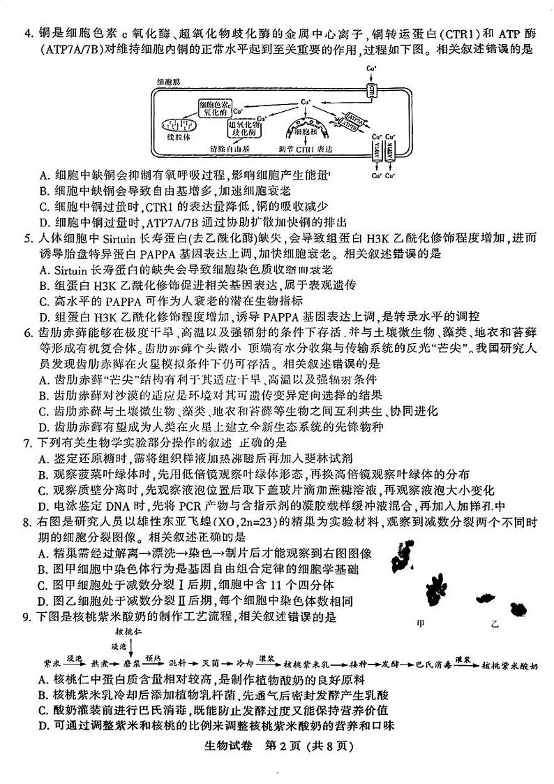 南通泰州镇江盐城市2024-2025高三上学期第一次调研生物试卷及答案第2页