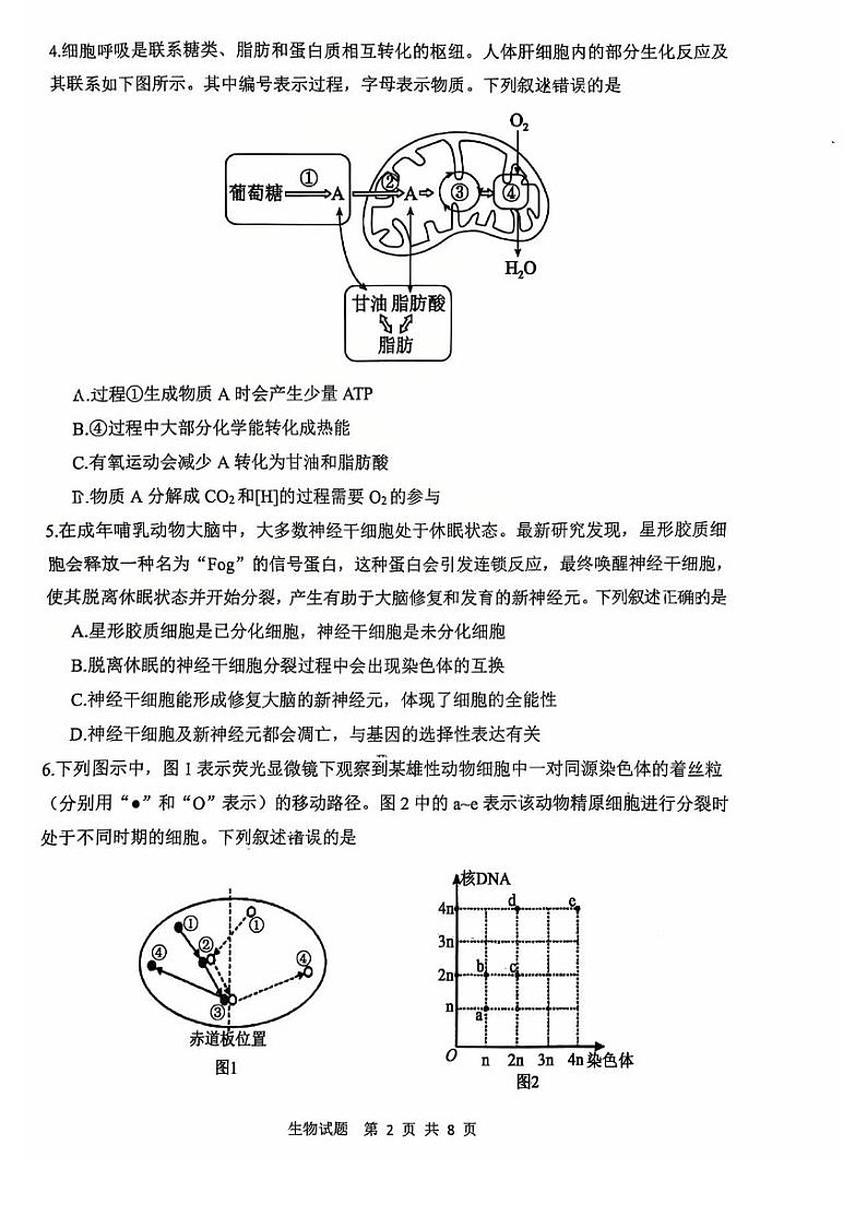 陕西省渭南市2025届高三上学期教学质量检测（Ⅰ）生物试卷及答案第2页