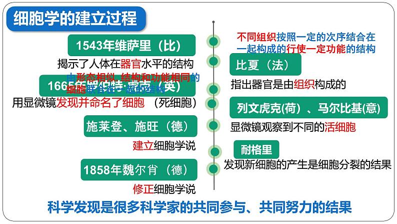 第一章第一节 细胞是生命活动的基本单位课件第5页