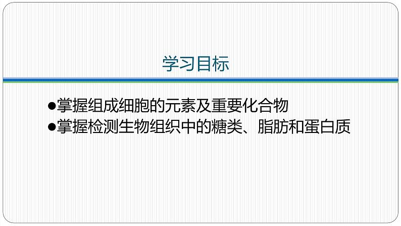 第二章第一节细胞中的元素和化合物课件第3页