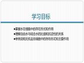 第二章第二节细胞中的无机物课件