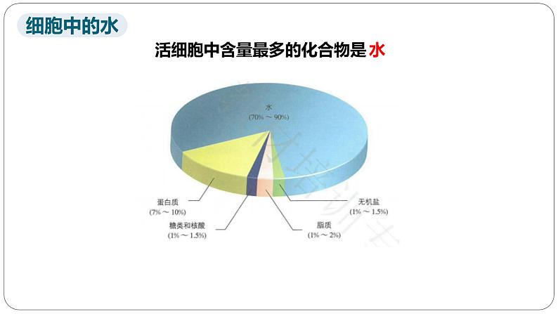 第二章第二节细胞中的无机物课件第4页