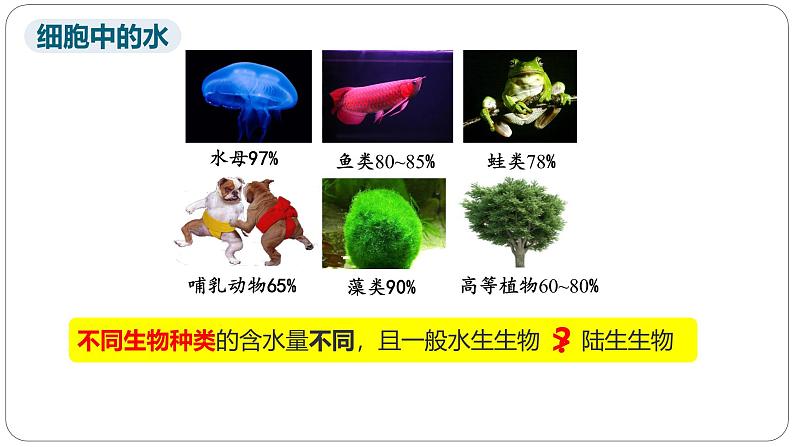 第二章第二节细胞中的无机物课件第5页