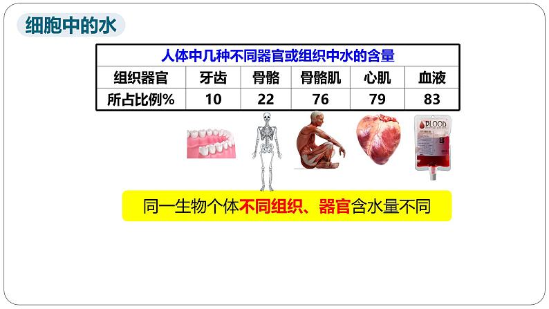 第二章第二节细胞中的无机物课件第7页