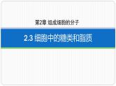 第二章第三节细胞中的糖类和脂质课件第一课时