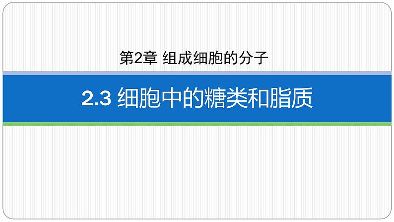 第二章第三节细胞中的糖类和脂质课件第一课时第2页