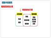 第二章第三节细胞中的糖类和脂质课件第二课时