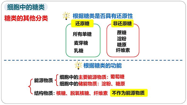 第二章第三节细胞中的糖类和脂质课件第二课时第3页